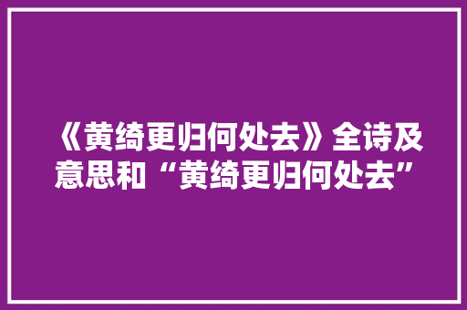 《黄绮更归何处去》全诗及意思和“黄绮更归何处去”的拼音注释