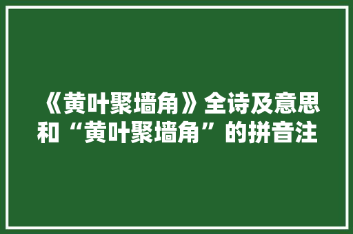 《黄叶聚墙角》全诗及意思和“黄叶聚墙角”的拼音注释