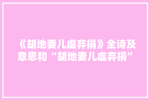 《胡地妻儿虚弃捐》全诗及意思和“胡地妻儿虚弃捐”的拼音注释 诗词鉴赏