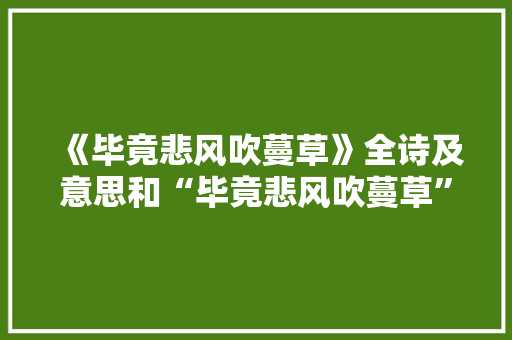《毕竟悲风吹蔓草》全诗及意思和“毕竟悲风吹蔓草”的拼音注释 诗词鉴赏