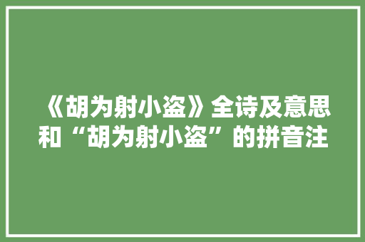 《胡为射小盗》全诗及意思和“胡为射小盗”的拼音注释 诗词鉴赏