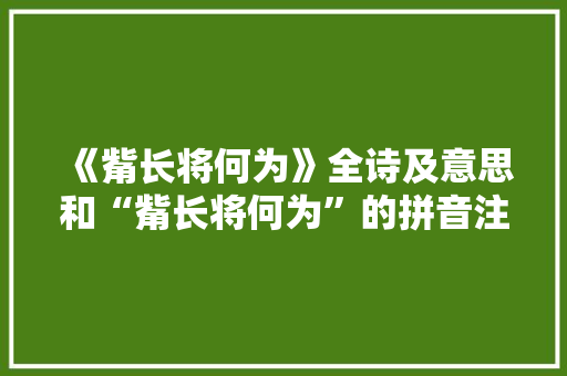 《觜长将何为》全诗及意思和“觜长将何为”的拼音注释