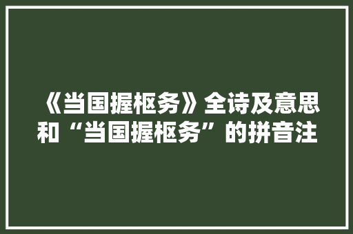 《当国握枢务》全诗及意思和“当国握枢务”的拼音注释 诗词鉴赏