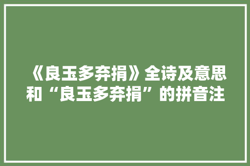《良玉多弃捐》全诗及意思和“良玉多弃捐”的拼音注释 诗词鉴赏