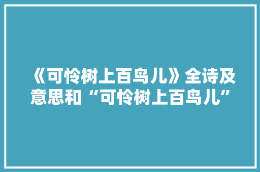 《可怜树上百鸟儿》全诗及意思和“可怜树上百鸟儿”的拼音注释 诗词鉴赏