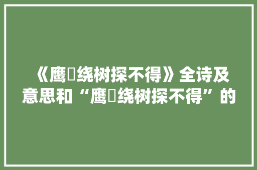 《鹰鹯绕树探不得》全诗及意思和“鹰鹯绕树探不得”的拼音注释 诗词鉴赏