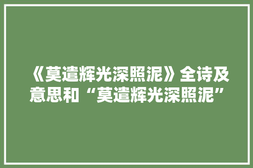 《莫遣辉光深照泥》全诗及意思和“莫遣辉光深照泥”的拼音注释