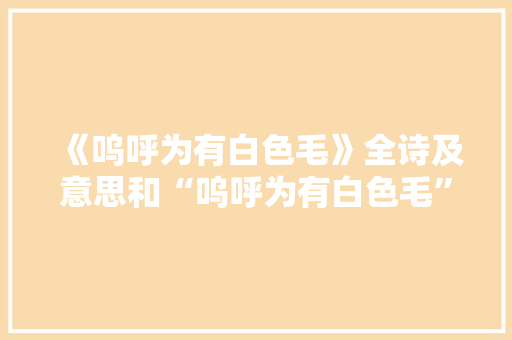《呜呼为有白色毛》全诗及意思和“呜呼为有白色毛”的拼音注释 诗词鉴赏