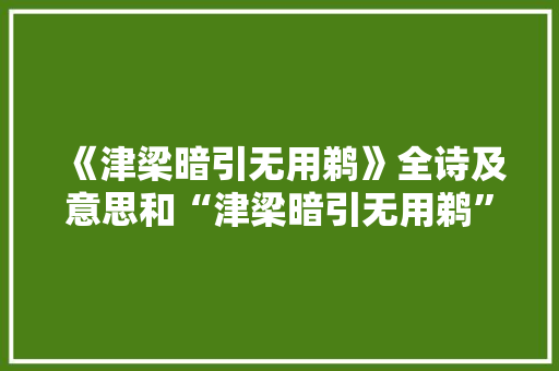 《津梁暗引无用鹈》全诗及意思和“津梁暗引无用鹈”的拼音注释