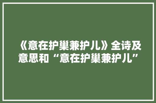 《意在护巢兼护儿》全诗及意思和“意在护巢兼护儿”的拼音注释 诗词鉴赏