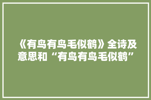 《有鸟有鸟毛似鹤》全诗及意思和“有鸟有鸟毛似鹤”的拼音注释
