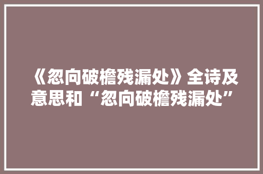 《忽向破檐残漏处》全诗及意思和“忽向破檐残漏处”的拼音注释