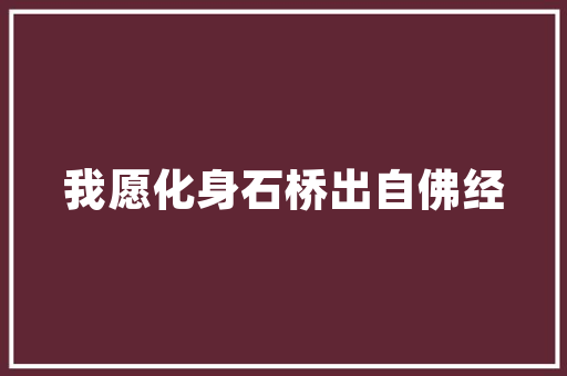《铁衣抛尽衲禅衣》全诗及意思和“铁衣抛尽衲禅衣”的拼音注释 诗词鉴赏