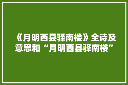 《月明西县驿南楼》全诗及意思和“月明西县驿南楼”的拼音注释