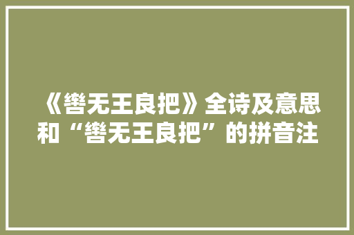 《辔无王良把》全诗及意思和“辔无王良把”的拼音注释 诗词鉴赏