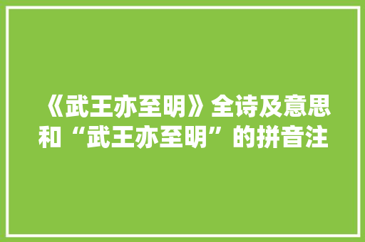 《武王亦至明》全诗及意思和“武王亦至明”的拼音注释