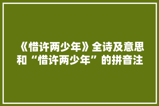 《惜许两少年》全诗及意思和“惜许两少年”的拼音注释