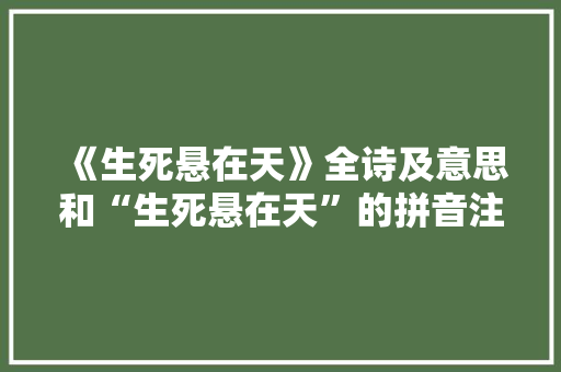《生死悬在天》全诗及意思和“生死悬在天”的拼音注释 诗词鉴赏