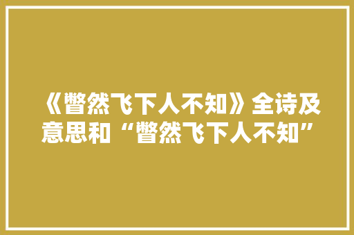 《瞥然飞下人不知》全诗及意思和“瞥然飞下人不知”的拼音注释