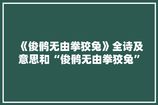 《俊鹘无由拳狡兔》全诗及意思和“俊鹘无由拳狡兔”的拼音注释 诗词鉴赏