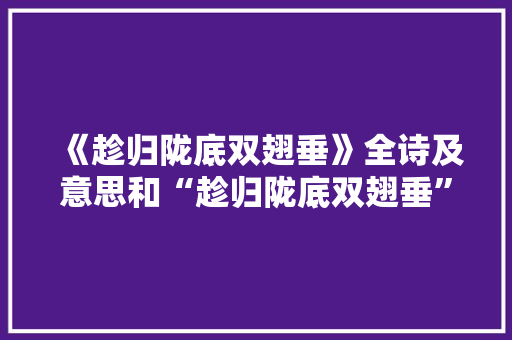 《趁归陇底双翅垂》全诗及意思和“趁归陇底双翅垂”的拼音注释 诗词鉴赏