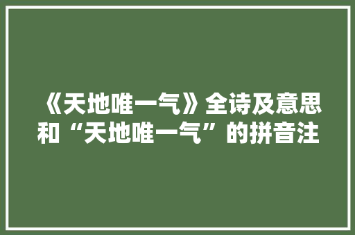 《天地唯一气》全诗及意思和“天地唯一气”的拼音注释