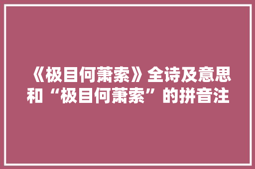 《极目何萧索》全诗及意思和“极目何萧索”的拼音注释