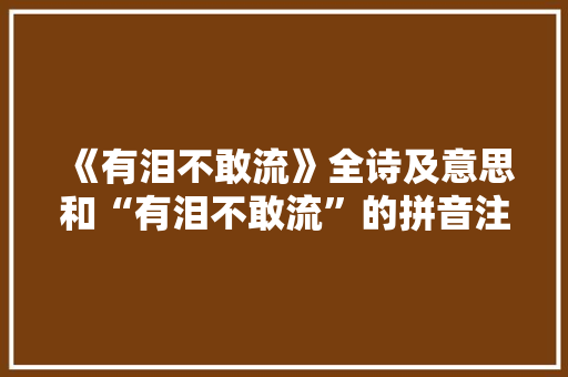 《有泪不敢流》全诗及意思和“有泪不敢流”的拼音注释