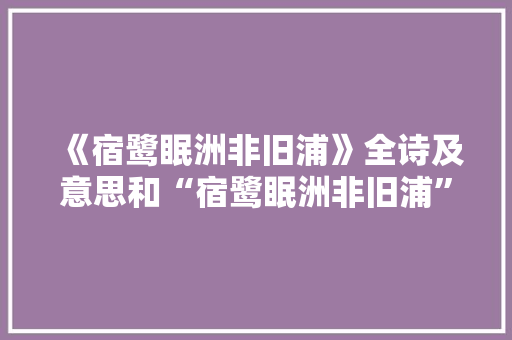 《宿鹭眠洲非旧浦》全诗及意思和“宿鹭眠洲非旧浦”的拼音注释