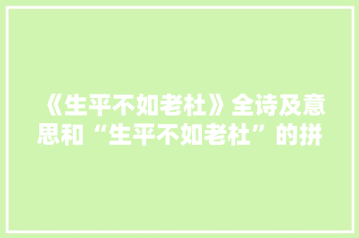 《生平不如老杜》全诗及意思和“生平不如老杜”的拼音注释
