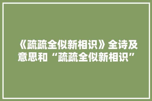 《疏疏全似新相识》全诗及意思和“疏疏全似新相识”的拼音注释