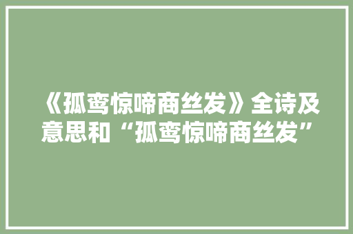 《孤鸾惊啼商丝发》全诗及意思和“孤鸾惊啼商丝发”的拼音注释