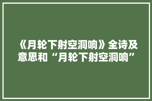 《月轮下射空洞响》全诗及意思和“月轮下射空洞响”的拼音注释