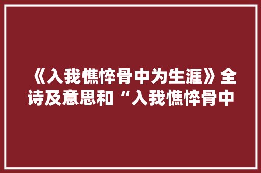 《入我憔悴骨中为生涯》全诗及意思和“入我憔悴骨中为生涯”的拼音注释