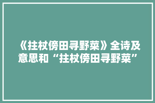 《拄杖傍田寻野菜》全诗及意思和“拄杖傍田寻野菜”的拼音注释