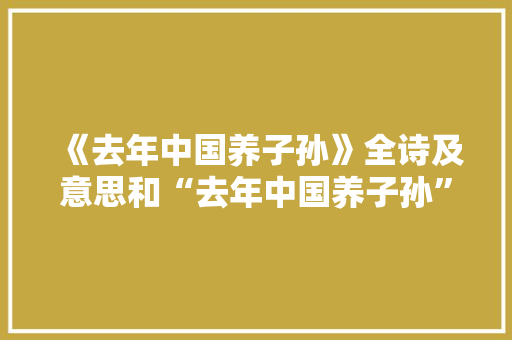 《去年中国养子孙》全诗及意思和“去年中国养子孙”的拼音注释