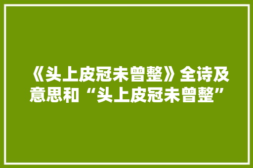 《头上皮冠未曾整》全诗及意思和“头上皮冠未曾整”的拼音注释