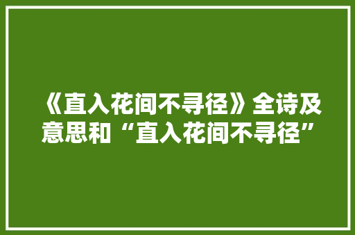 《直入花间不寻径》全诗及意思和“直入花间不寻径”的拼音注释