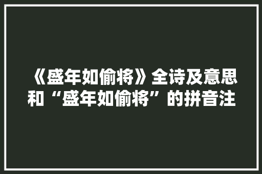 《盛年如偷将》全诗及意思和“盛年如偷将”的拼音注释 诗词鉴赏