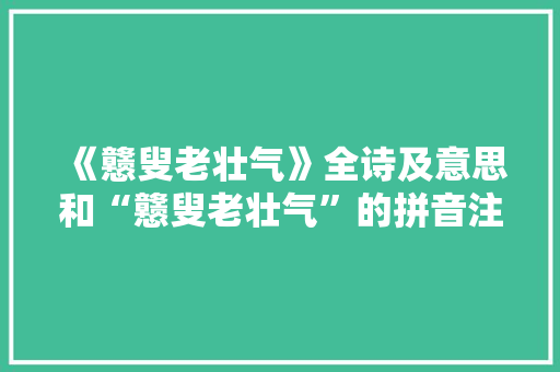 《戆叟老壮气》全诗及意思和“戆叟老壮气”的拼音注释 诗词鉴赏