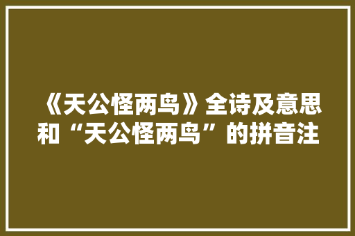 《天公怪两鸟》全诗及意思和“天公怪两鸟”的拼音注释