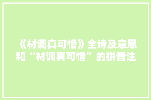 《材调真可惜》全诗及意思和“材调真可惜”的拼音注释 诗词鉴赏