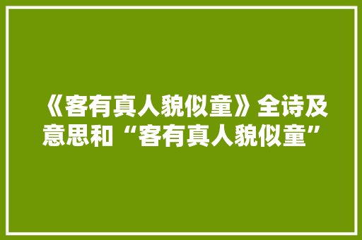 《客有真人貌似童》全诗及意思和“客有真人貌似童”的拼音注释