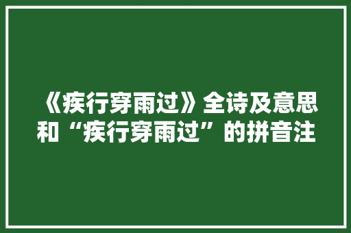 《疾行穿雨过》全诗及意思和“疾行穿雨过”的拼音注释 诗词鉴赏