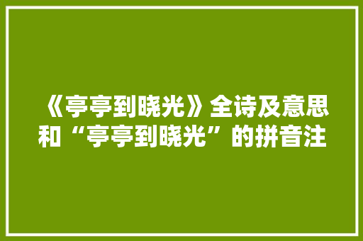 《亭亭到晓光》全诗及意思和“亭亭到晓光”的拼音注释