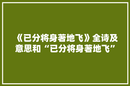 《已分将身著地飞》全诗及意思和“已分将身著地飞”的拼音注释