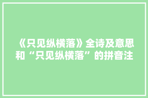 《只见纵横落》全诗及意思和“只见纵横落”的拼音注释 诗词鉴赏