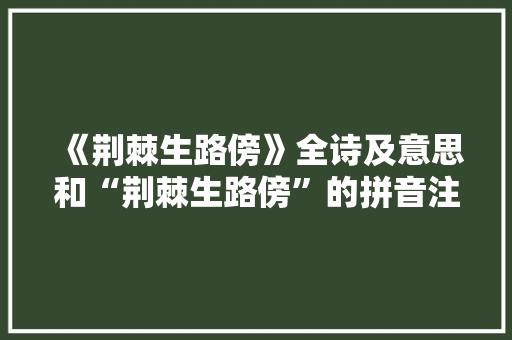 《荆棘生路傍》全诗及意思和“荆棘生路傍”的拼音注释 诗词鉴赏