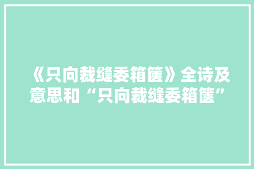 《只向裁缝委箱箧》全诗及意思和“只向裁缝委箱箧”的拼音注释