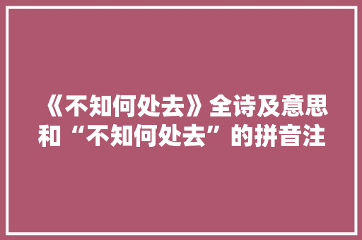 《不知何处去》全诗及意思和“不知何处去”的拼音注释